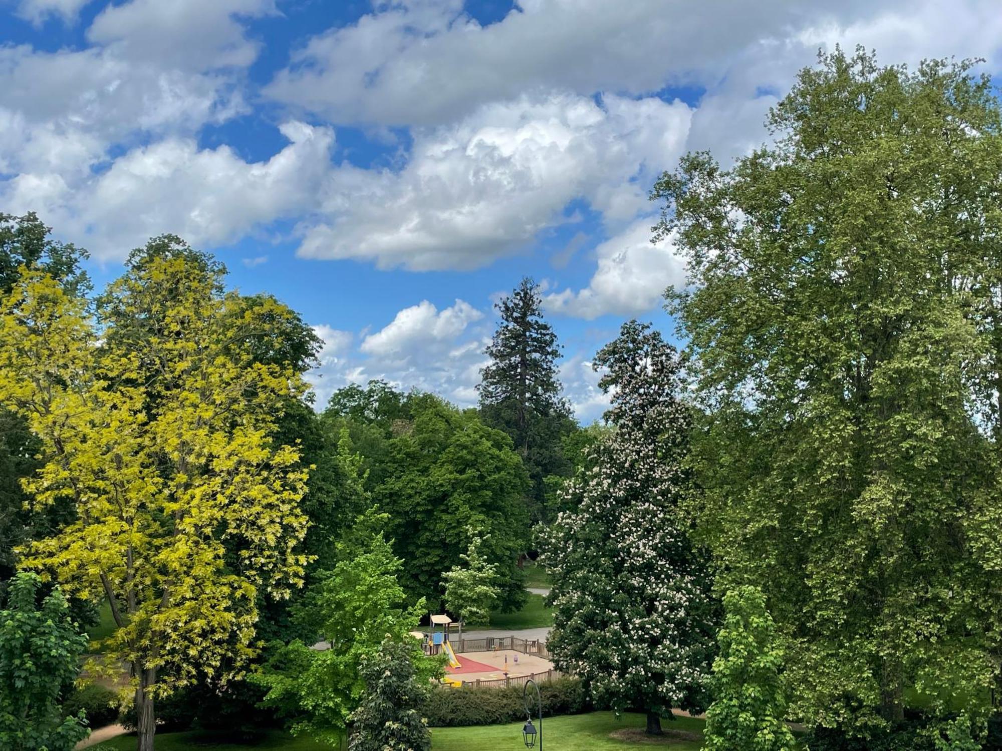 Le Joyau Des Parcs Classe 4 Etoiles Appartement Central Au Calme Avec Terrasse Vichy Dış mekan fotoğraf